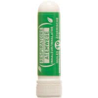 Puressentiel Inhalator für die Atemwege mit 19 ätherischen Ölen - 1ml