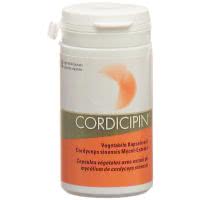 Cordicipin Vital Pilzextrakt (Chinesischer Raupenpilz) - 60 Kaps.