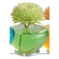 Essence of Nature - Sesbania Orchidee Raumduft mit handgemachter Duftblume grün "Floralia" 100ml