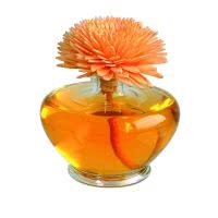 Essence of Nature - Sesbania Orchidee Raumduft mit handgemachter Duftblume orange "Summer Blossom" 100ml