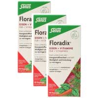 Floradix Eisen + Vitamine Trio-Pack für 4 Monate - 3x40 Kaps.