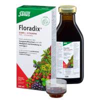 Floradix Eisen + Vitamine Eisenergänzung Saft - 250ml