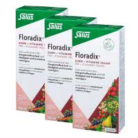 Floradix Eisen + Vitamine - VEGAN - flüssig - 3 Monats-Kur - 3x500ml