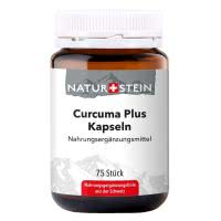 Naturstein Curcuma plus Kapseln - 100 Stk.