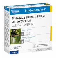Phytostandards Pileje - Schwarze Johannisbeere und Spitzwegerich - 30 Stk.