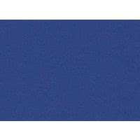 Ricfit Fit-Bag-Stützkissen Nacken/Lende mit Hirsespreu - Uni blau - 13x30cm