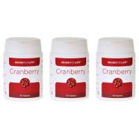 Secret of Life - Cranberry Vaccinium macrocarpon - 3 x 90 Stk.