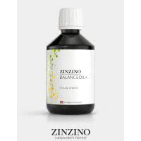 Zinzino BalanceOil - Omega 3 - Vegan - 300ml