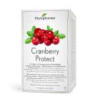 Phytopharma Cranberry Protect Kapseln - 60 Stk.