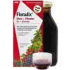Floradix Eisen + Vitamine Eisenergänzung Saft 700ml
