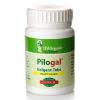Hildegard Posch Pilogal Galgant Tabletten - 270 Stk.