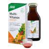 Salus Multi-Vitamin Energetikum - 250ml