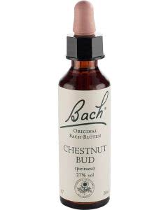 Bachblüten Original Chestnut Bud No07 - 20 ml