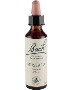 Bachblüten Original Mustard No21 - 20 ml
