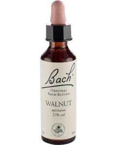 Bachblüten Original Walnut No33 - 20 ml