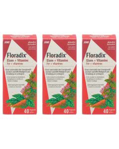 Floradix Eisenergänzung - 3x40 Kaps. Trio-Pack für 4 Monate