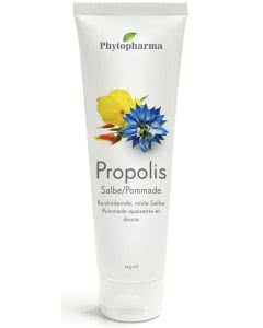 Phytopharma Propolis comp. Salbe 125ml