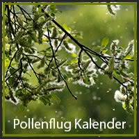 Pollenflug